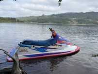 Mota de agua  polaris