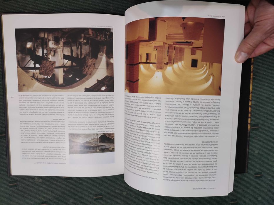 Azeite e Olivais no Alentejo