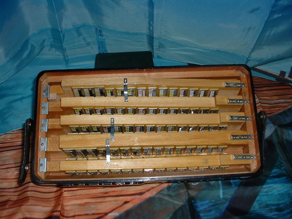 Avenda Acordeao G, .3