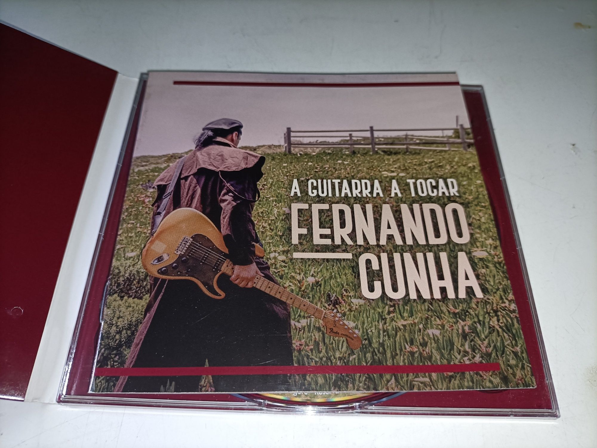 Fernando Cunha_A guitarra a tocar