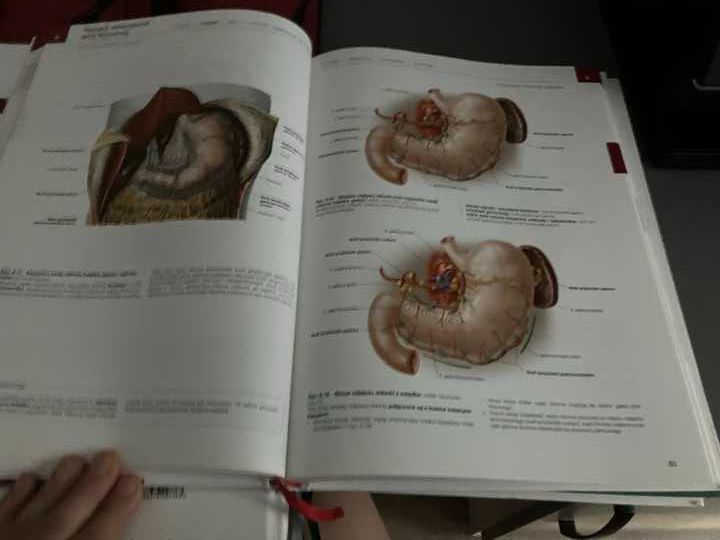 Sprzedam Atlas Anatomii Człowieka -Sobotta-Wyd.IV-3tomy