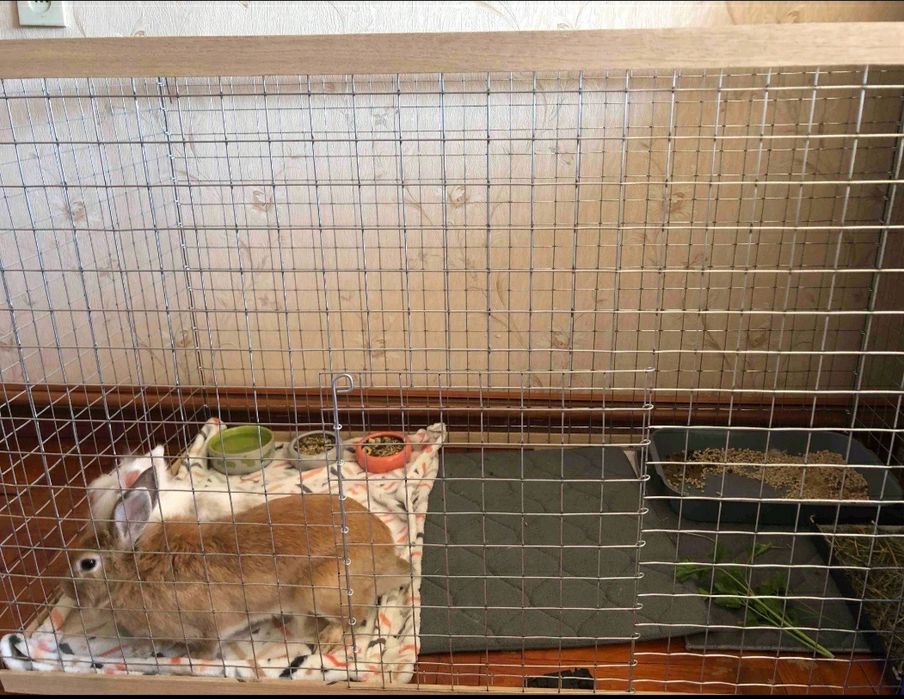 Манеж, Вольер, Клетка, Клітка, для собак, щенков, кошек, кроликов.