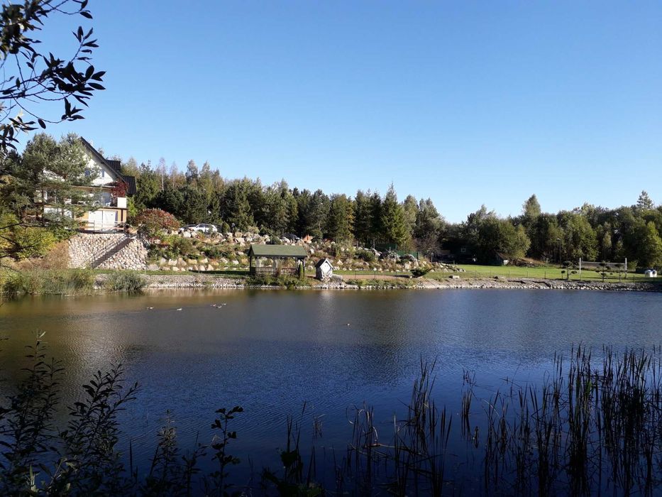 Domek jezioro Trójmiasto bania jacuzzi noclegi prywatny zarybiony staw
