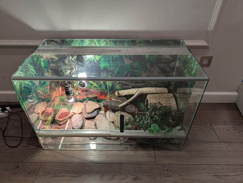 Terrarium 80x40x50 + lampy UV i grzewcza, komplet na start