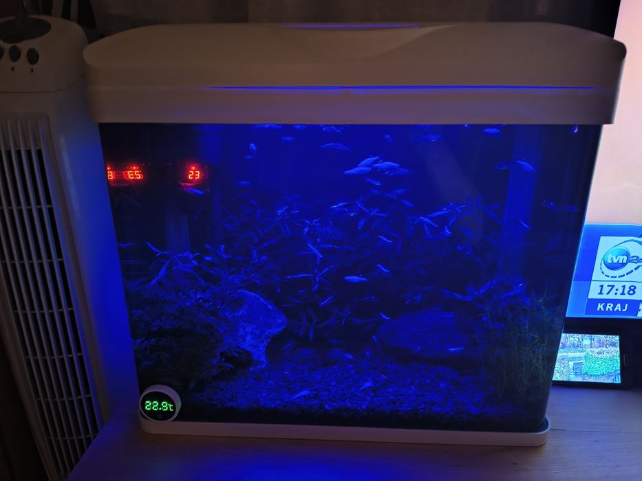 Designerskie oryginalne białe akwarium profilowane 50L LED INVITAL!