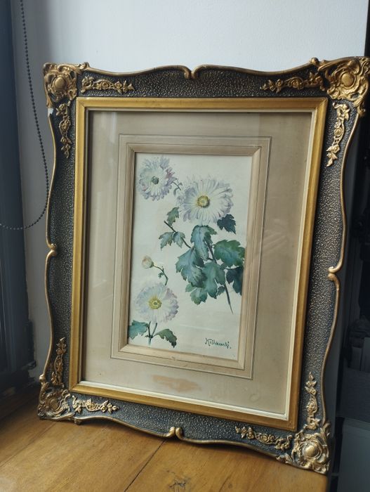 Obraz akwarele z zielnika Jaremi Królikowski