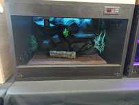 Terrarium dla węża, jaszczurki 60x40 tło, ogrzewanie, led RGB, podłoże