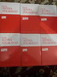 Książki Słownik Języka Polskiego 6 tomów