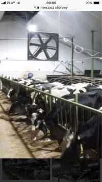 Mieszacz powietrza obora dla krów wentylatory wentylator od 30cm-140cm