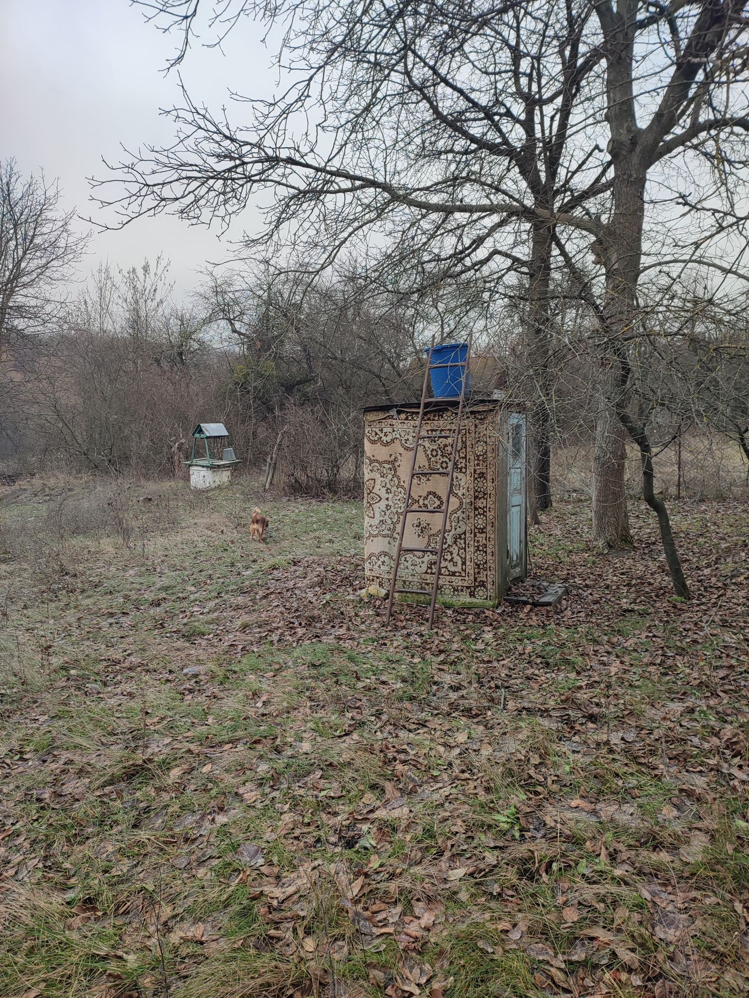 Продам дім село Вербівка