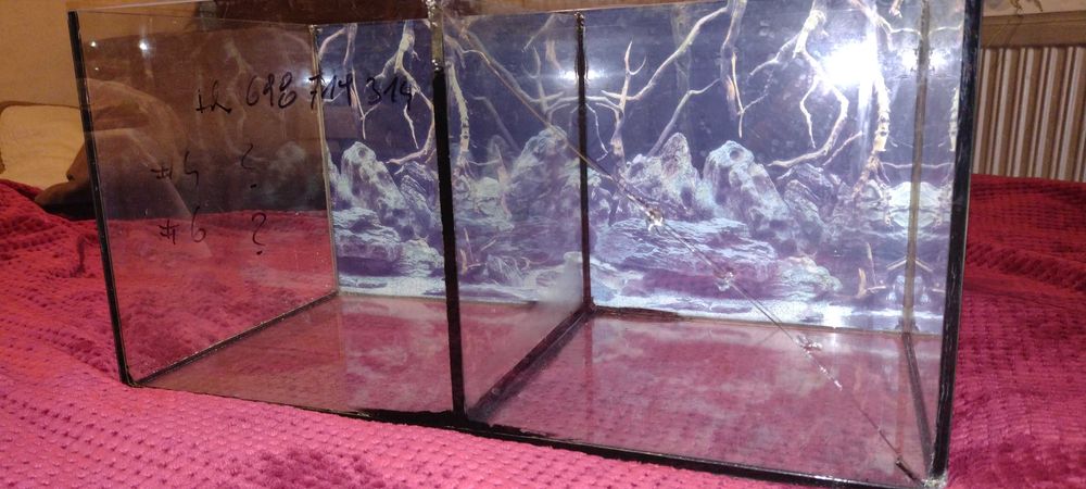 Akwarium terrarium dla pająków, ślimaków żabek mrówek