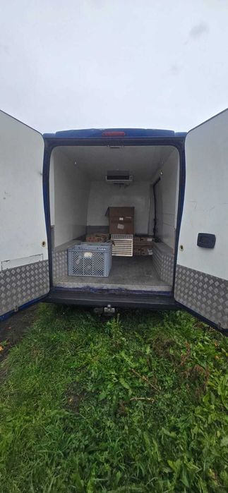 FIAT DUCATO 2,3 jtd chłodnia, uszkodzony silnik