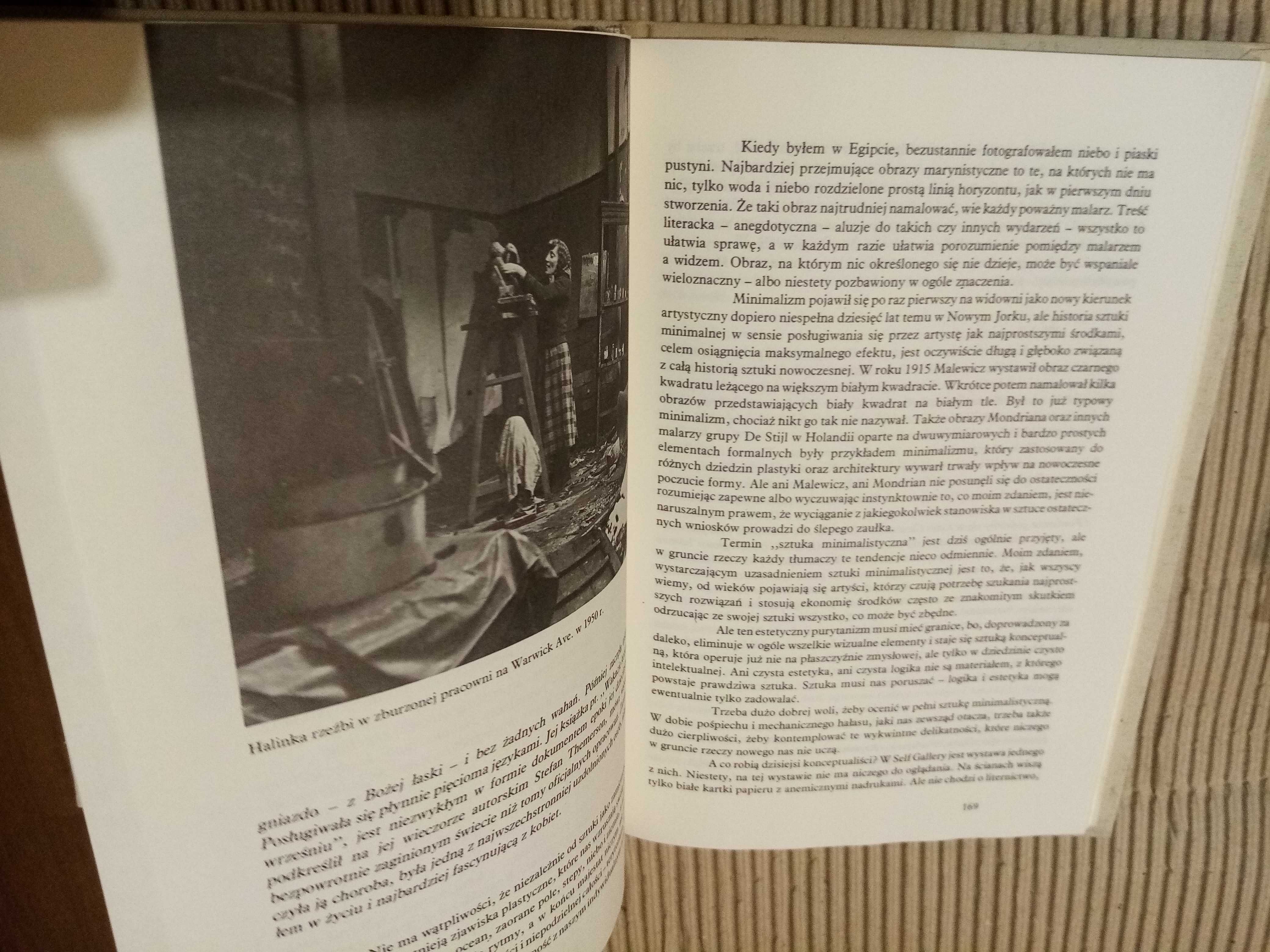 marek żuławski rysunek , studium do autoportretu