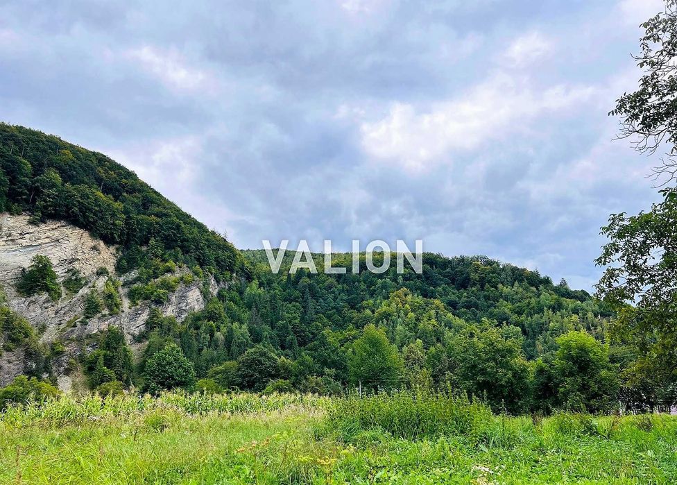 Продаж земельної ділянки вул. Окружна, с. Міжброди, Чернівецька обл.