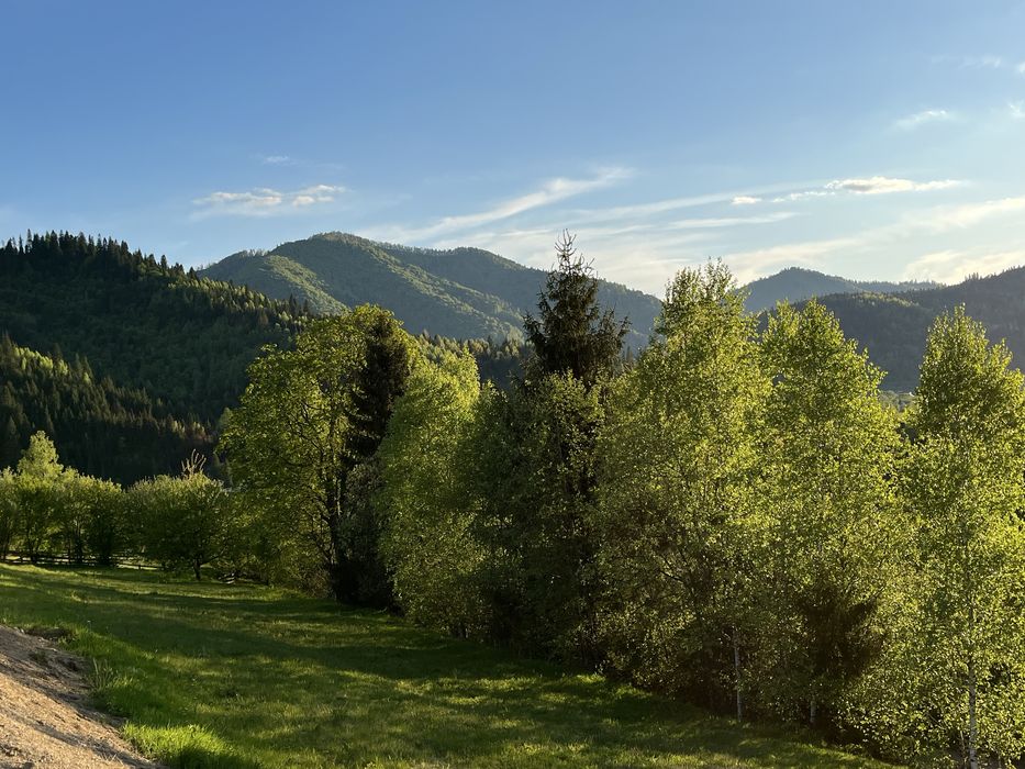 Оренда житла в карпатах
