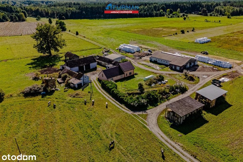 Funkcjonujące gospodarstwo rolne , wyposażone, samowystarczalne.