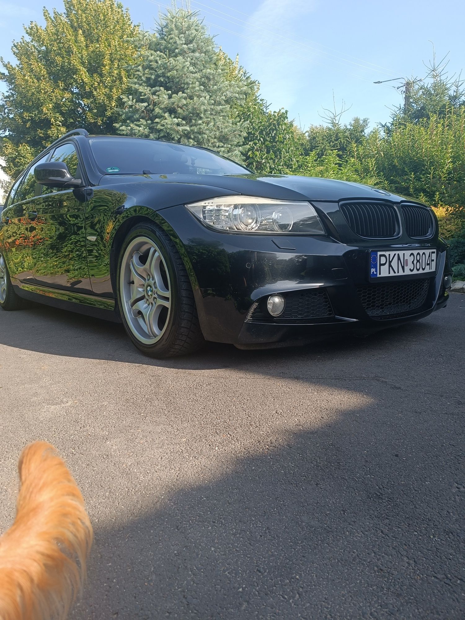 BMW 318d E91 191KM