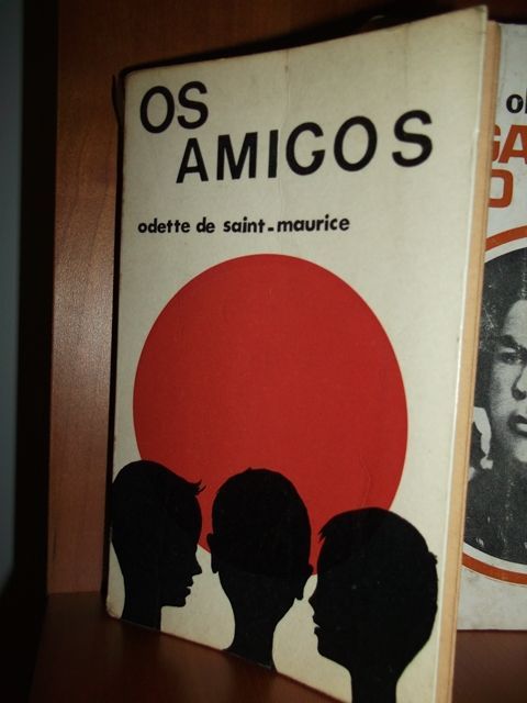 Os Amigos (literatura Juvenil), Odette de Saint-Maurice