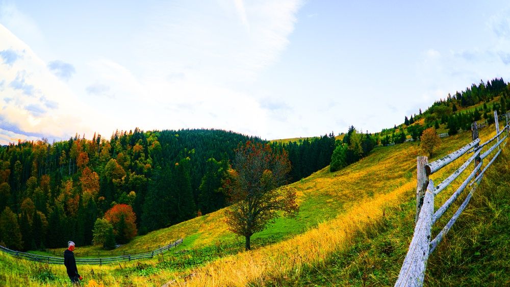 Продам Землю Карпаты Косовский район Ивано-Франковска область