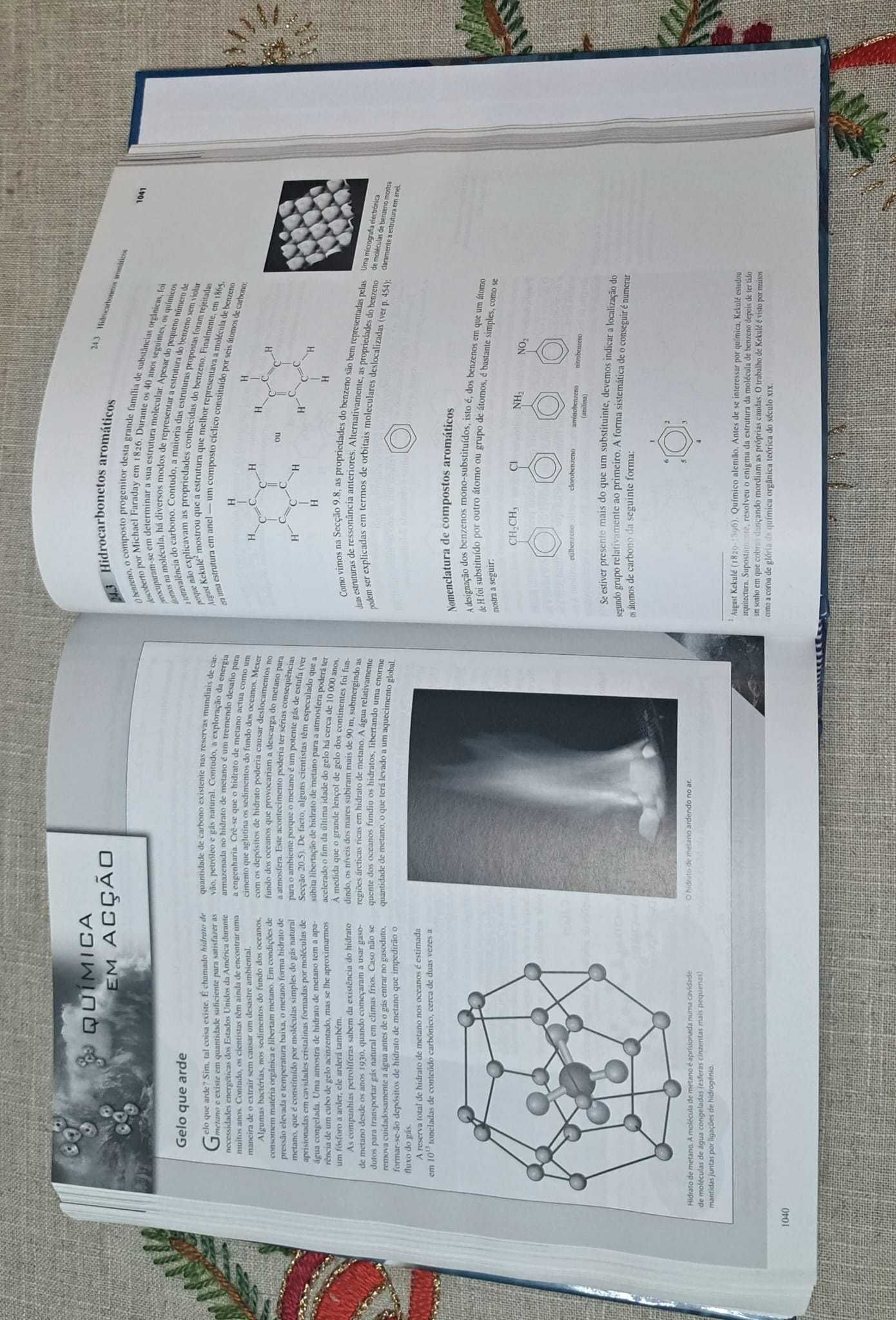 Química - Kenneth A. Goldsby - 11º Edição - NOVO