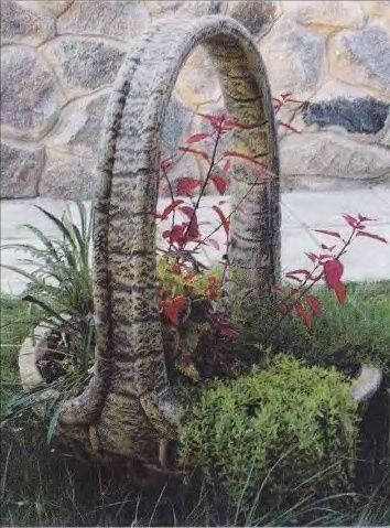 Многолетники садовые кустарники крупномеры  для тени или солнца