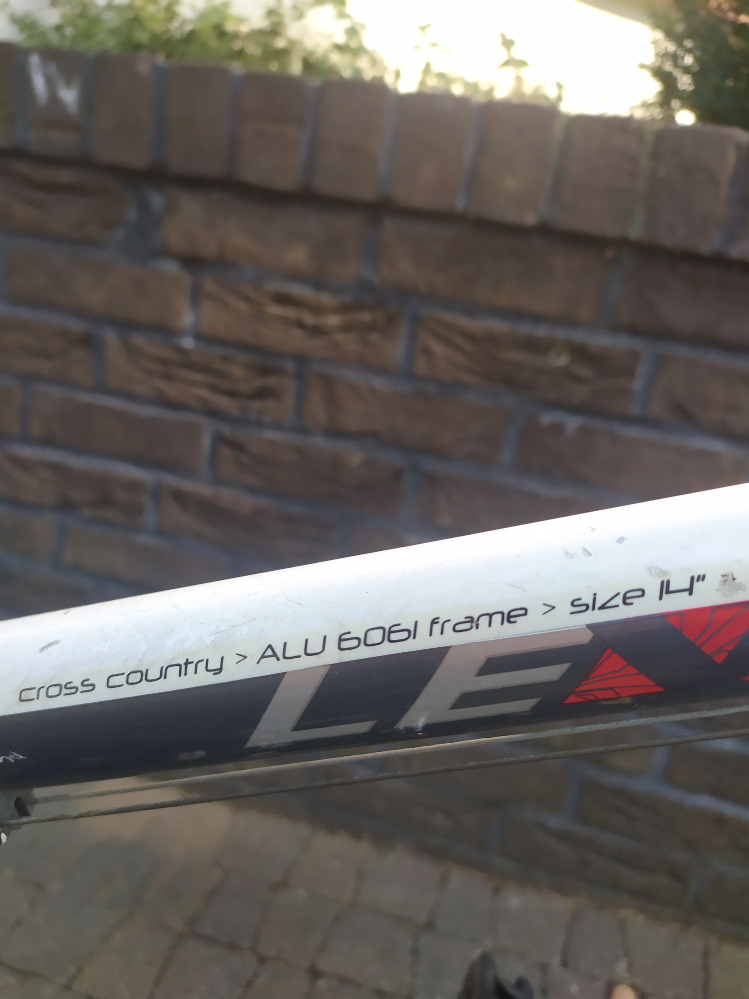 Rower Kross level A6 na 10 lat