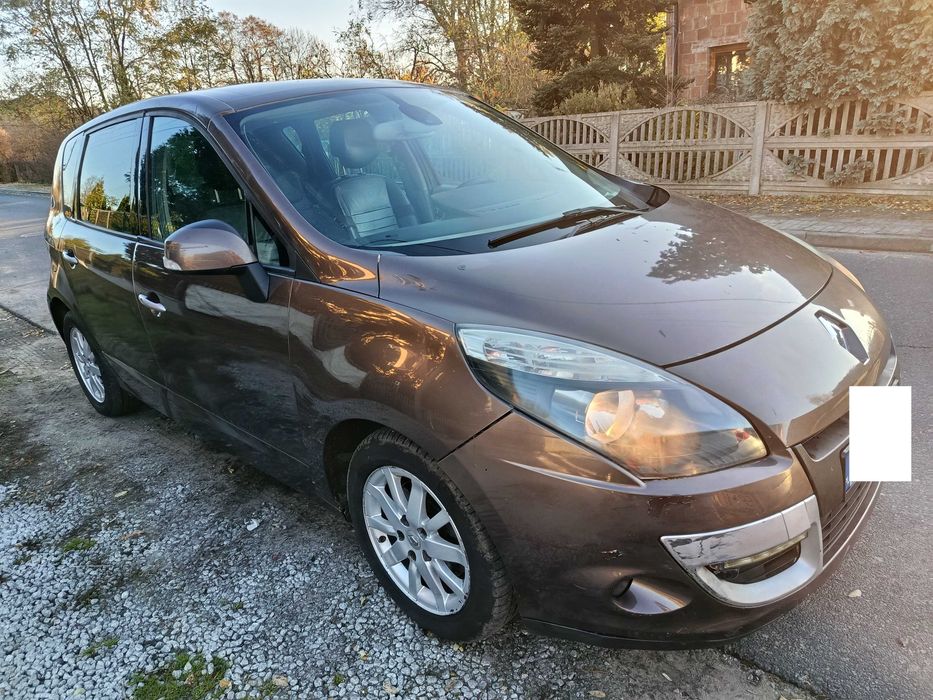 Ładny i Zdrowy Scenik 2010r Panorama Skóry Navi zamiana tez TANIO