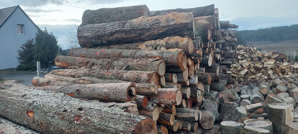 Sprzedam drewno iglaste