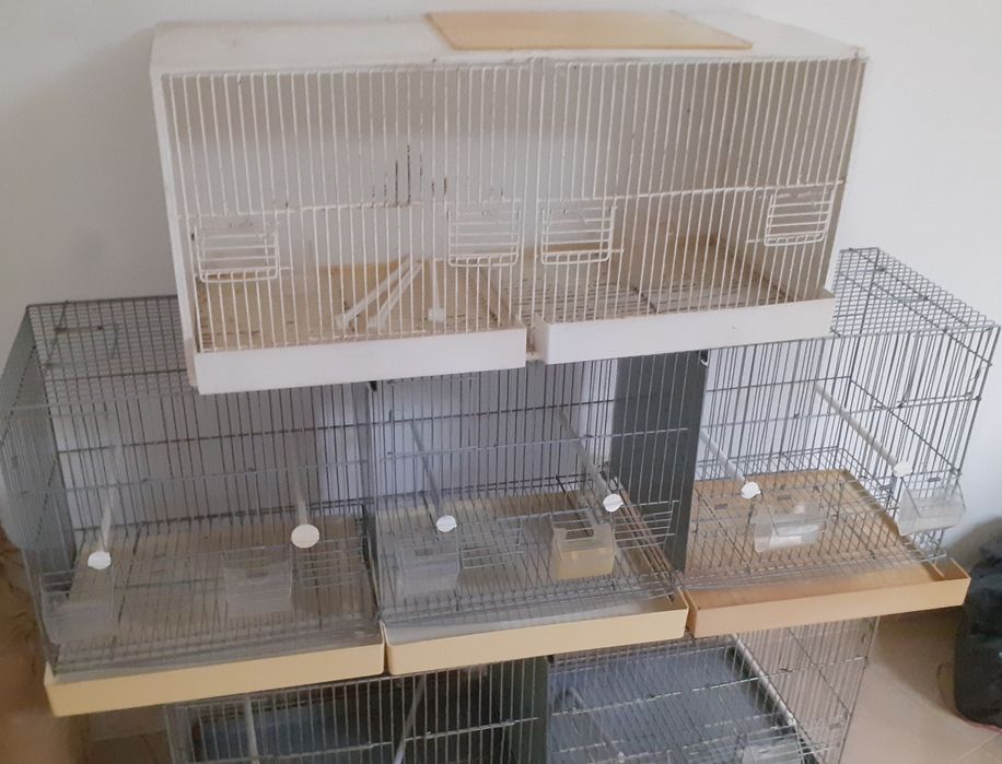 Viveiros para aves em bom estado (1.20m/0.77m)