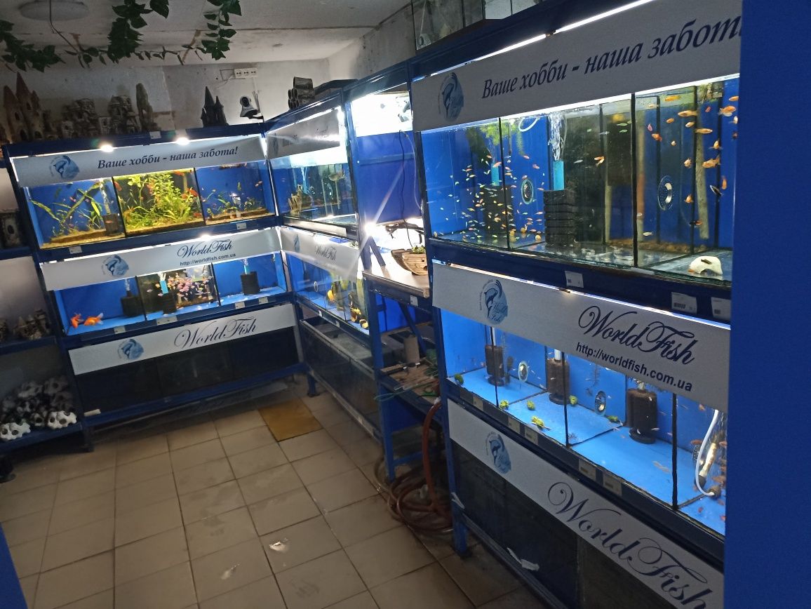 Торговая аквариумная витрина 4.65м