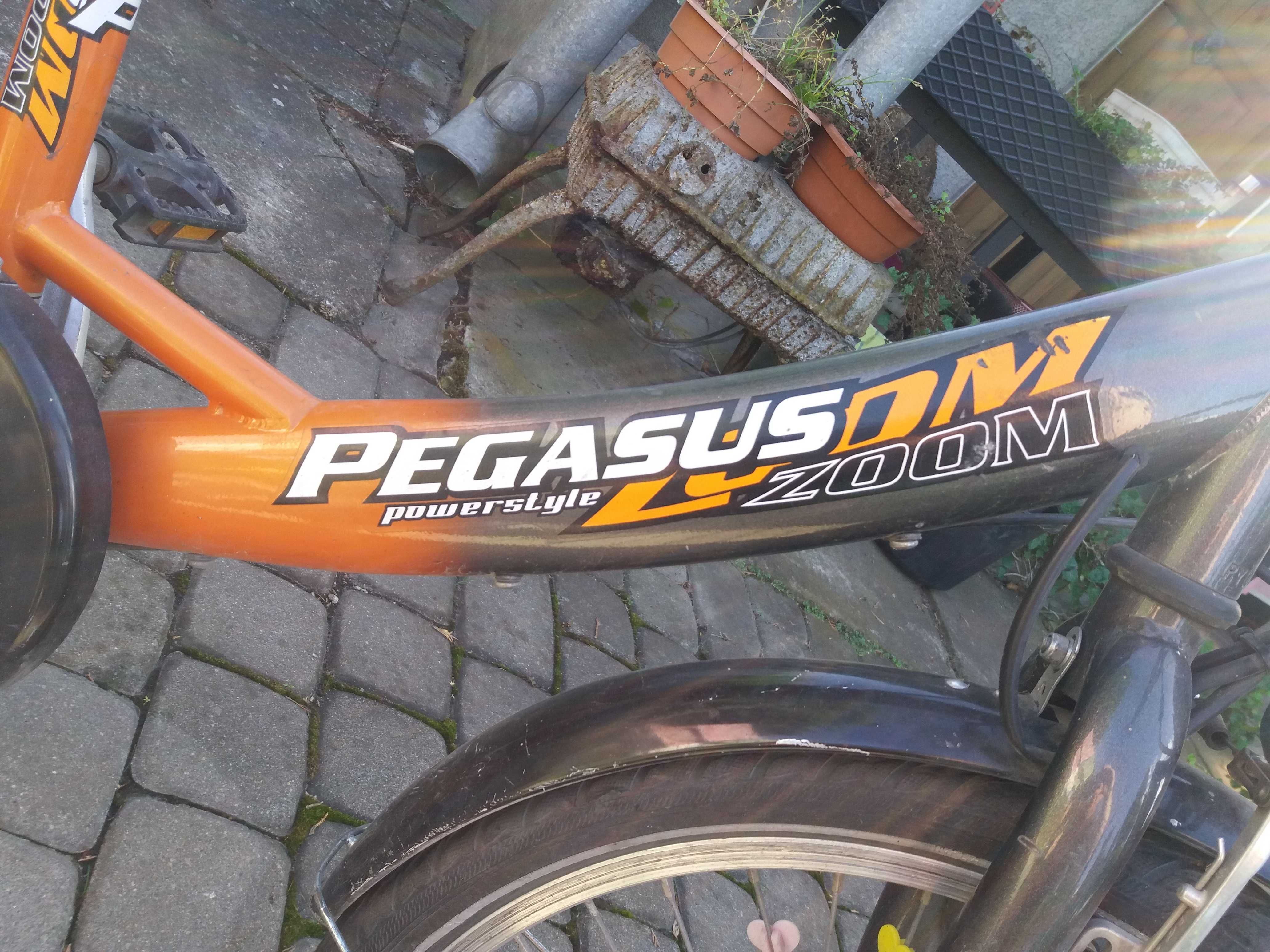 Rower Dziecięcy Pegasus Zoom, Koła 20 cali