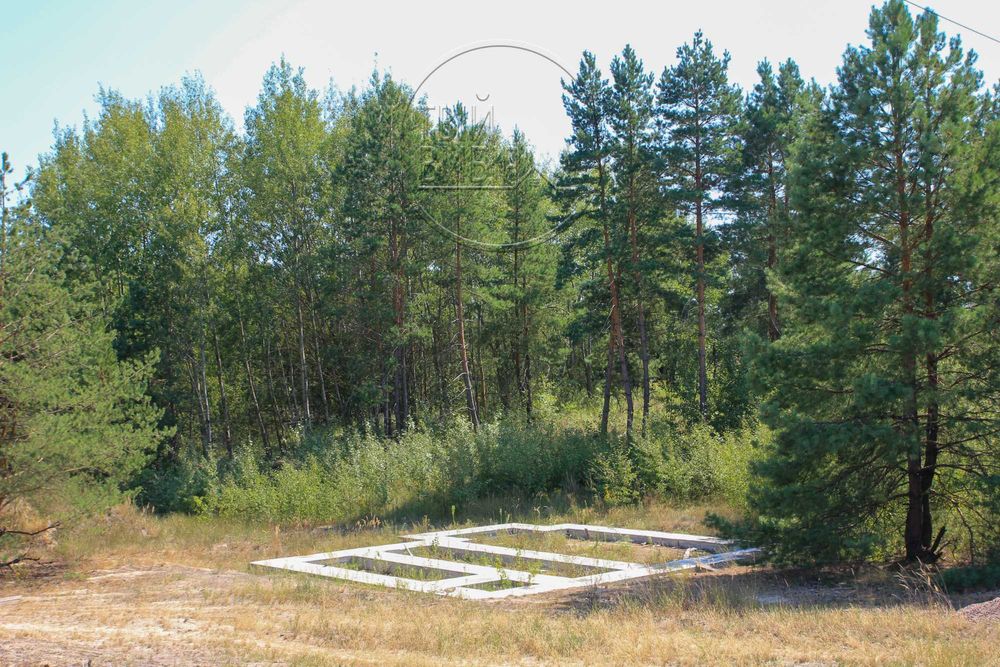 Продаж Ділянки 10 соток Гореничі Світло Ліс