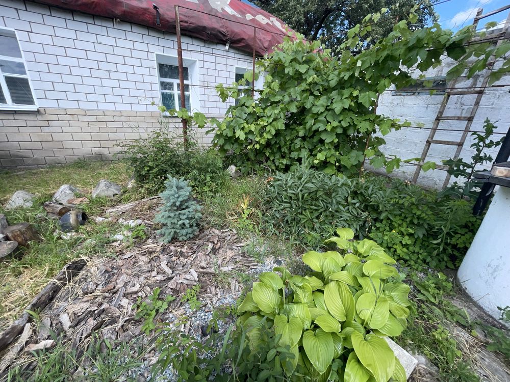 Продам дом в Обуховке .