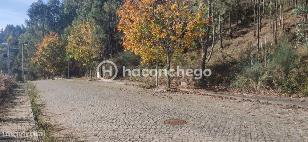 Terreno de Construção com vista para Barcelos