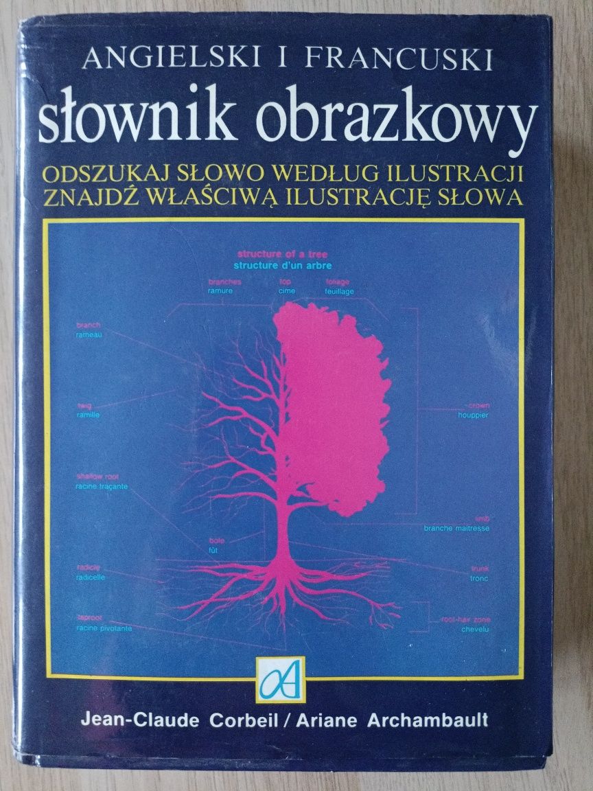 Angielski i Francuski słownik obrazkowy 926str