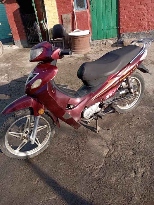 Продам мопед Qinqa pegas110