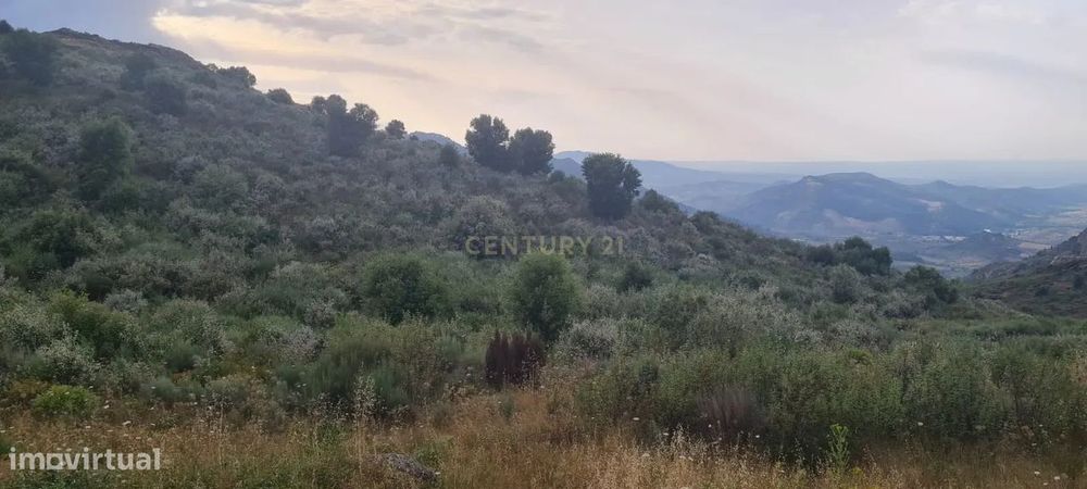 TERRENO EM VILA FLOR - A 4 km do Centro da Vila