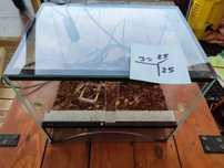 Terrarium 30x25x25