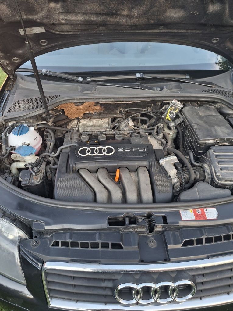Audi a3 8p 2.0 benzyna