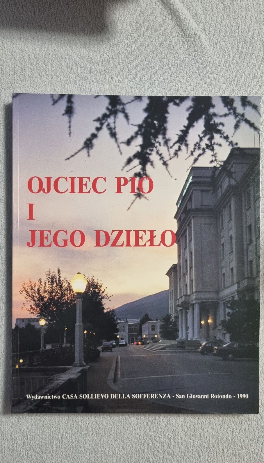 Książka, miękka lub twarda oprawa