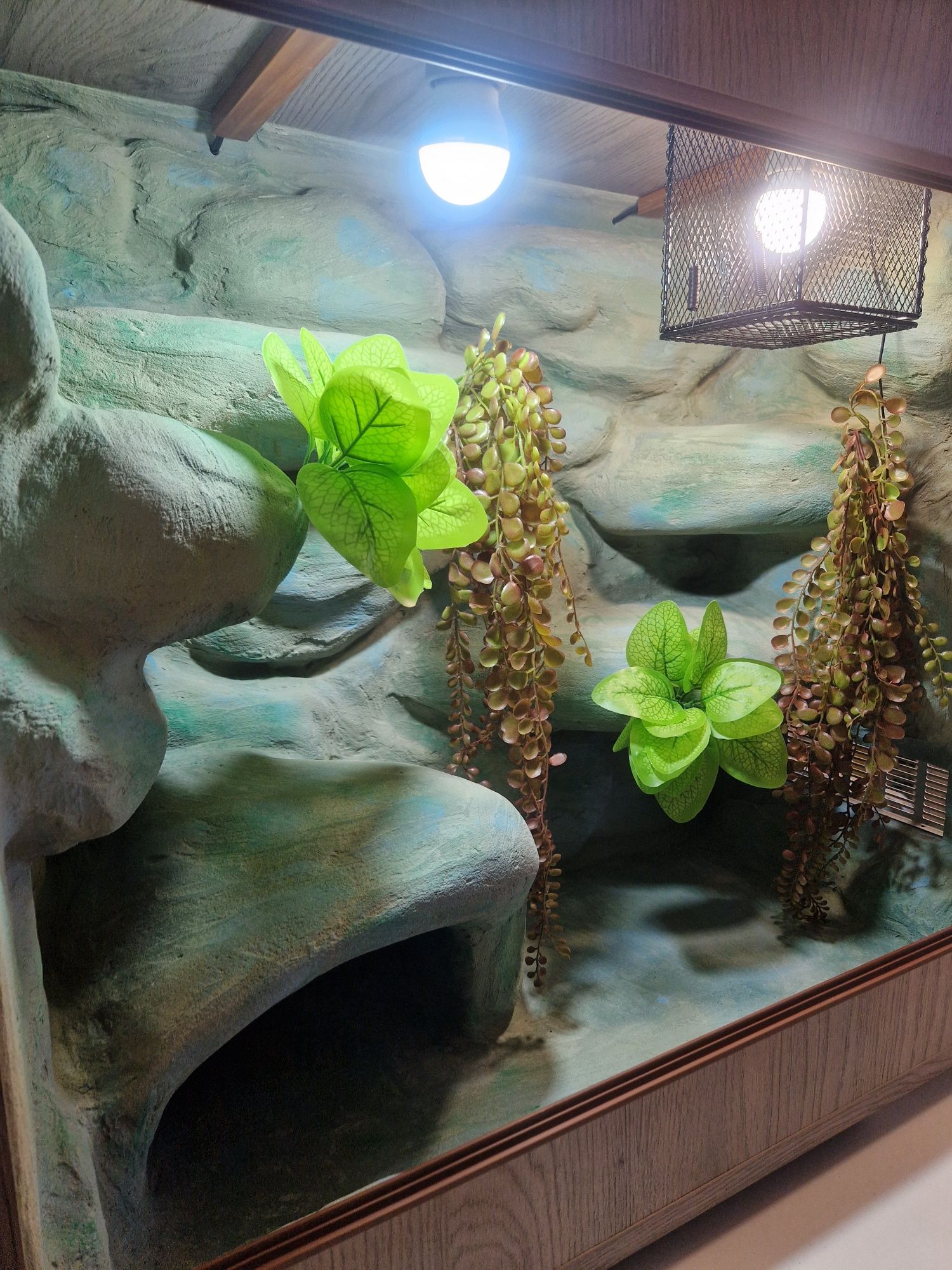Dostępne terrarium dla węża gekona orzęsionego 75x40x70 gwarancja