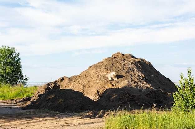 Песок, подсыпка, чернозём, щебень, шлак,