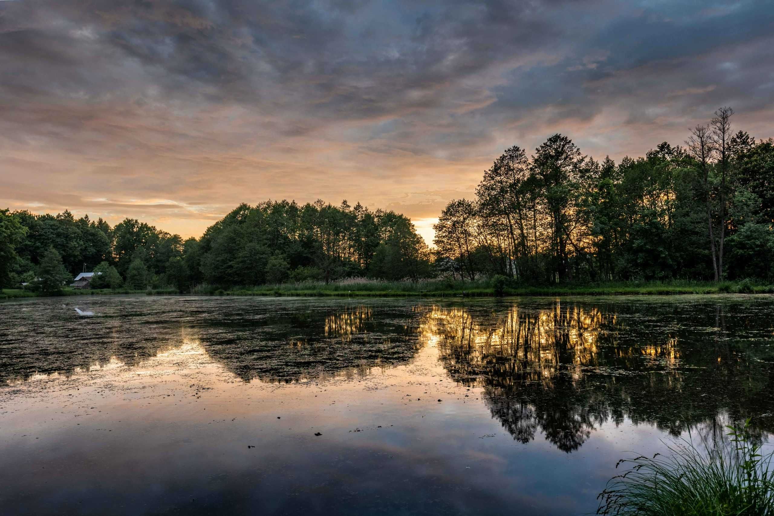 AleChatki - Przytulny domek na Roztoczu – idealny na wypoczynek!