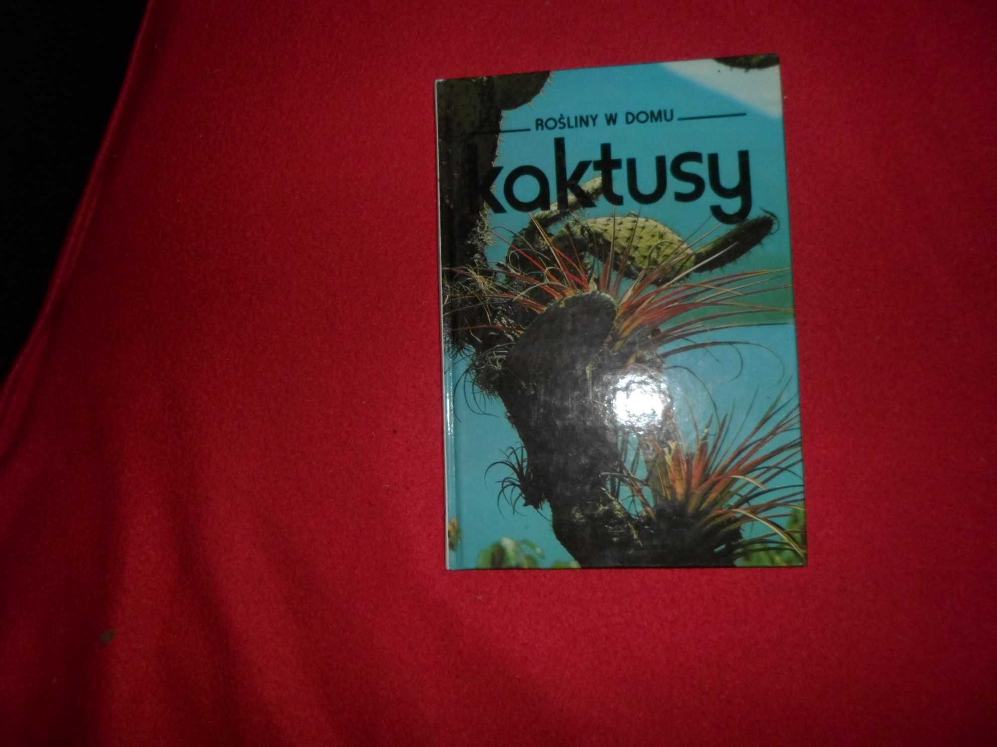Kaktusy [Rośliny w domu]