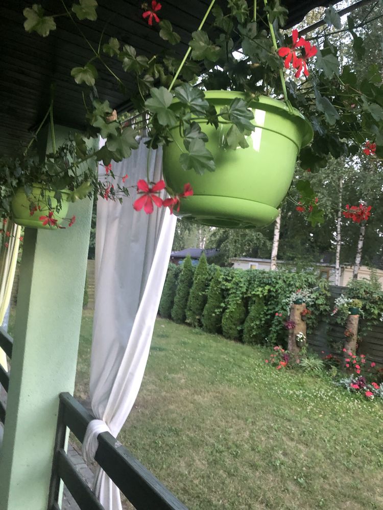 Okuninka Jeziro Białe. Dom typu bliźniak 60m2
