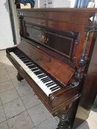 Pianino Gerb perzina Schwerin I/M
