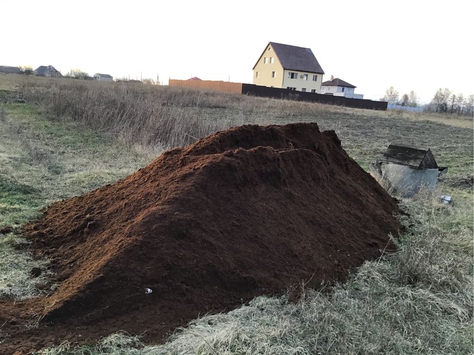 Перегній кінський