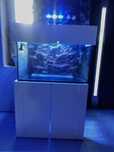 Akwarium morskie zestaw 160 litrow