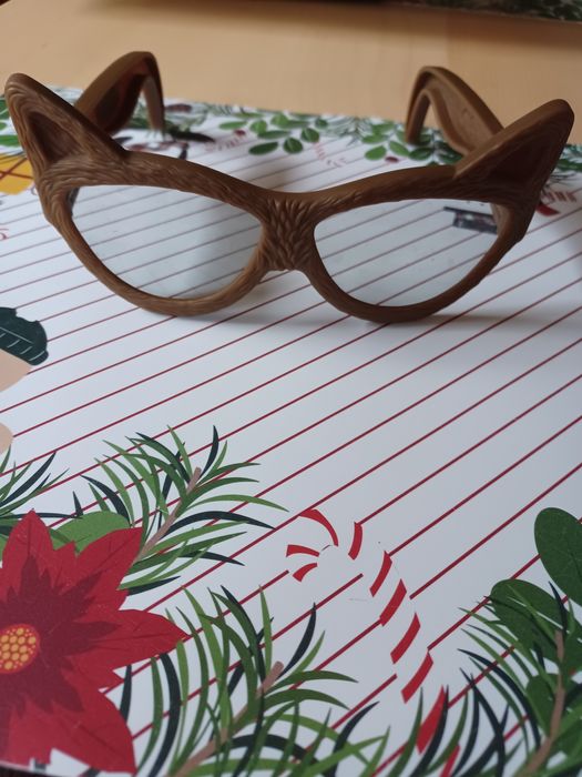 Okularki koty przebranie