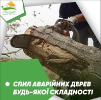 Спил деревьев Харьков и область